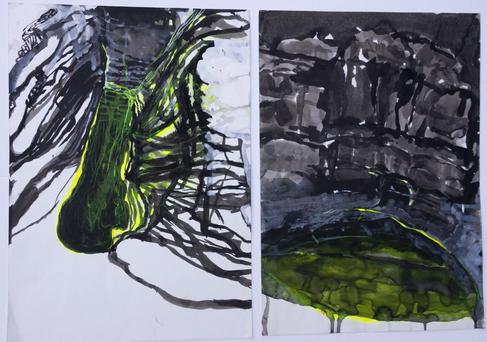 2 drawings from the Grotto and other waterholes in WA